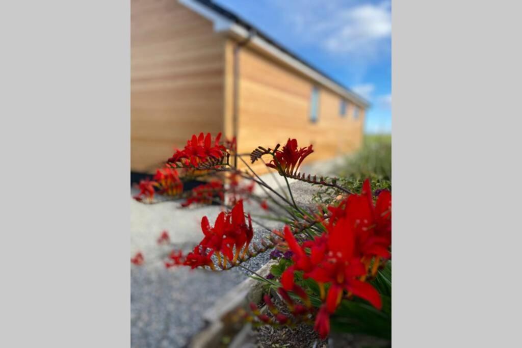The Gallafield, Self Catering Bungalow , Stornoway Stornoway  Buitenkant foto